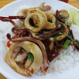 ข้าวกะเพราปลาหมึก