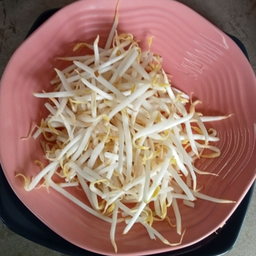 ถั่วงอกลวก