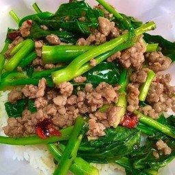 คะน้าหมูสับ