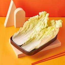 ผักกาดขาว