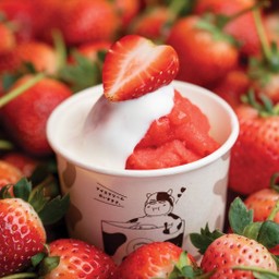 Strawberry Fresh Yogurt