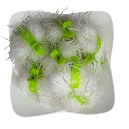 วุ้นเส้น