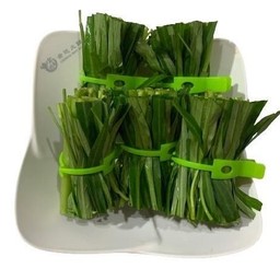 ผักบุ้ง