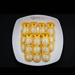 ไข่นกกะทา