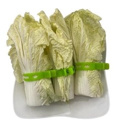 ผักกาดขาว