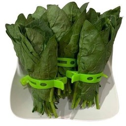 ปวยเล้ง