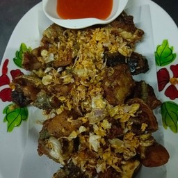 กบทอด(2ตัว)