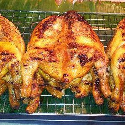 ไก่ย่าง(ตัว)