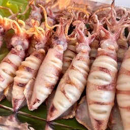 หมึกกล้วย ย่าง 500 กรัม