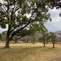 Fukuoka Castle Remains