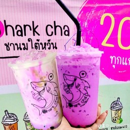 เผือกนมสด