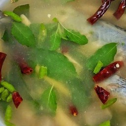 ต้มปลาทูสดใบกระเพรา