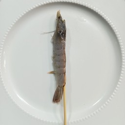 กุ้งขาว
