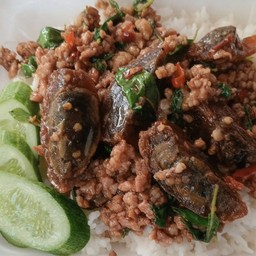 ข้าวกะเพราไข่เยี่ยวม้า(หมูสับ,ไก่สับ)