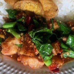 ข้าวราดคะน้าหมูกรอบ