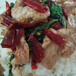 ข้าวกระเพราหมูชิ้น