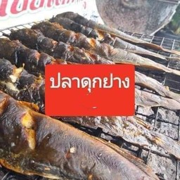 ปลาดุกย่าง