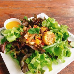 สลัดสันในหมูลิญญ่า