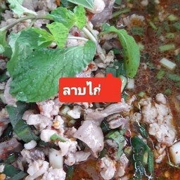 ลาบไก่