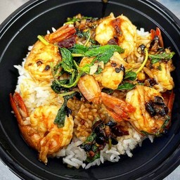 ข้าวราดกะเพรากุ้ง