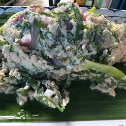 ขั้วไข่