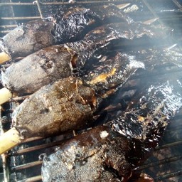 ปลาดุกย่าง