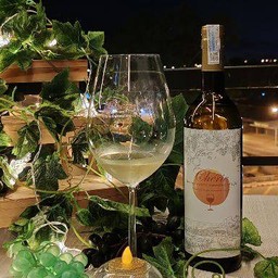 MENU_2590878YV_1704025817