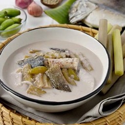 ต้มกะทิสายบัวปลาทู