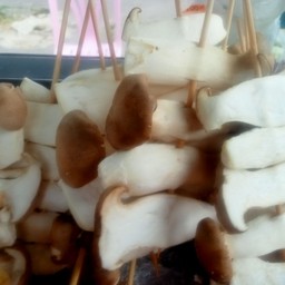 เห็ดออรินกิ