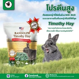 หญ้า TIMOTHY HAY 100%
