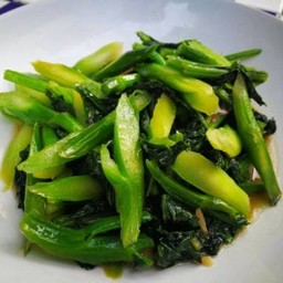 คะน้าน้ำมันหอย