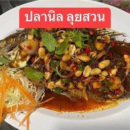 ปลานิลลุยสวน