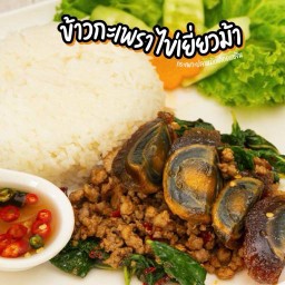 กระเพราหมูสับ+ไข่เยี่ยวม้า(กับข้าว)