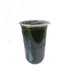 ชาเขียวมะนาว