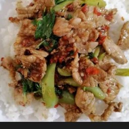 ข้าวผัดพริกอ่อนหมู