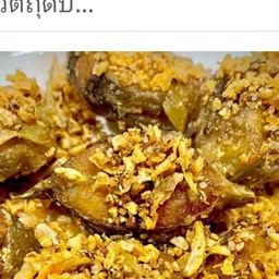 ปลาดุกทอดกระเทียม (กับข้าว)