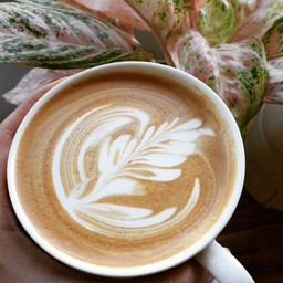 ลาเต้ร้อนLM