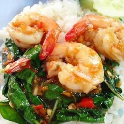 กะเพรากุ้ง