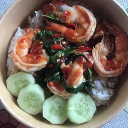 กะเพรากุ้ง🦐