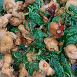 กะเพราไก่