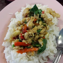 ข้าว กระเพราไก่