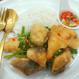 ข้าวปลากะพงผัดขึ้นฉ่าย