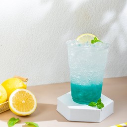Sparkling Mint Lemon