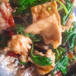 กะเพราหมูชิ้นราดข้าว