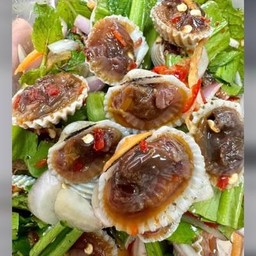 ยำหอยแครงดอง