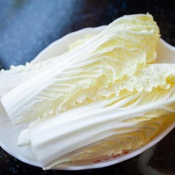 白菜  ผักกาดขาว