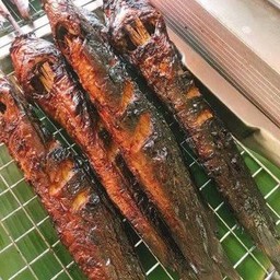 ปลาดุกย่าง1ตัว