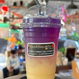 กระชายน้ำผึ้งมะนาวอัญชัน