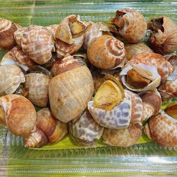 หอยหวานย่าง