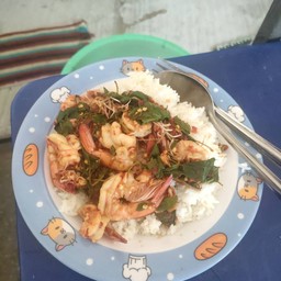 กระเพรากุ้งราดข้าว